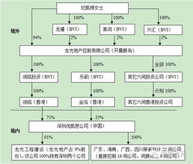 企业家税务风险管理 7 换个角度解析龙光集团家族信托