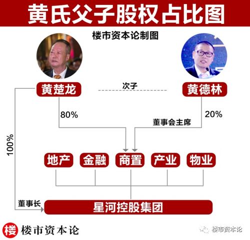 星盛商管再次ipo靠酒靠佛 爱拼酒的黄楚龙渴望资本