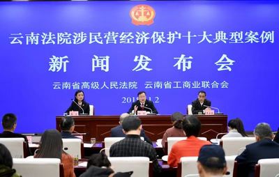 云南公布十大涉民营经济典型案例以案治本