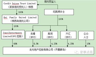 企业家税务风险管理 7 换个角度解析龙光集团家族信托